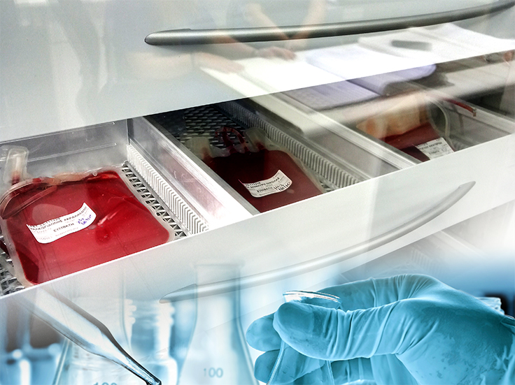 Fiocchetti ha ottenuto, tra i primi in Italia, la certificazione CE di prodotto per i propri dispositivi medicali già nell’anno 2009